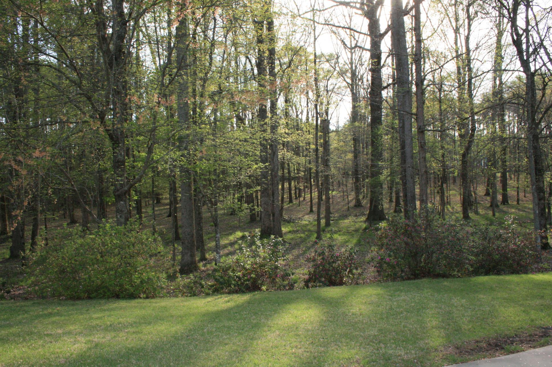 368 Massengale Rd, Brooks, GA 30205 photo 25