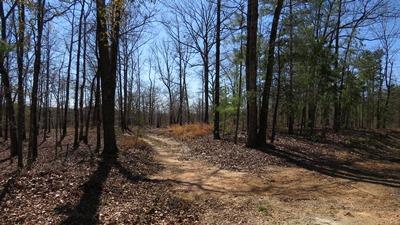 28 Currahee Ridge Rd, Toccoa, GA 30577 photo 2