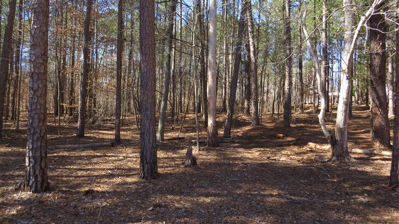28 Currahee Ridge Rd, Toccoa, GA 30577 photo 12