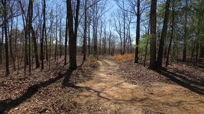 28 Currahee Ridge Rd, Toccoa, GA 30577 photo 5