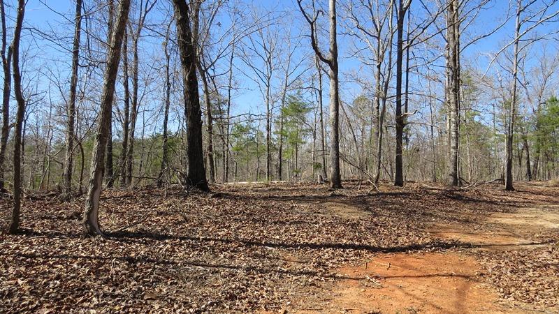28 Currahee Ridge Rd, Toccoa, GA 30577 photo 15