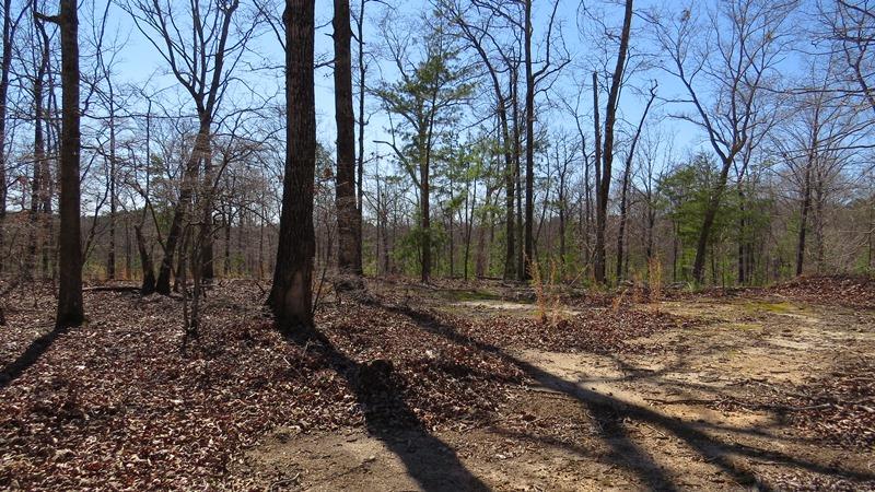 28 Currahee Ridge Rd, Toccoa, GA 30577 photo 6