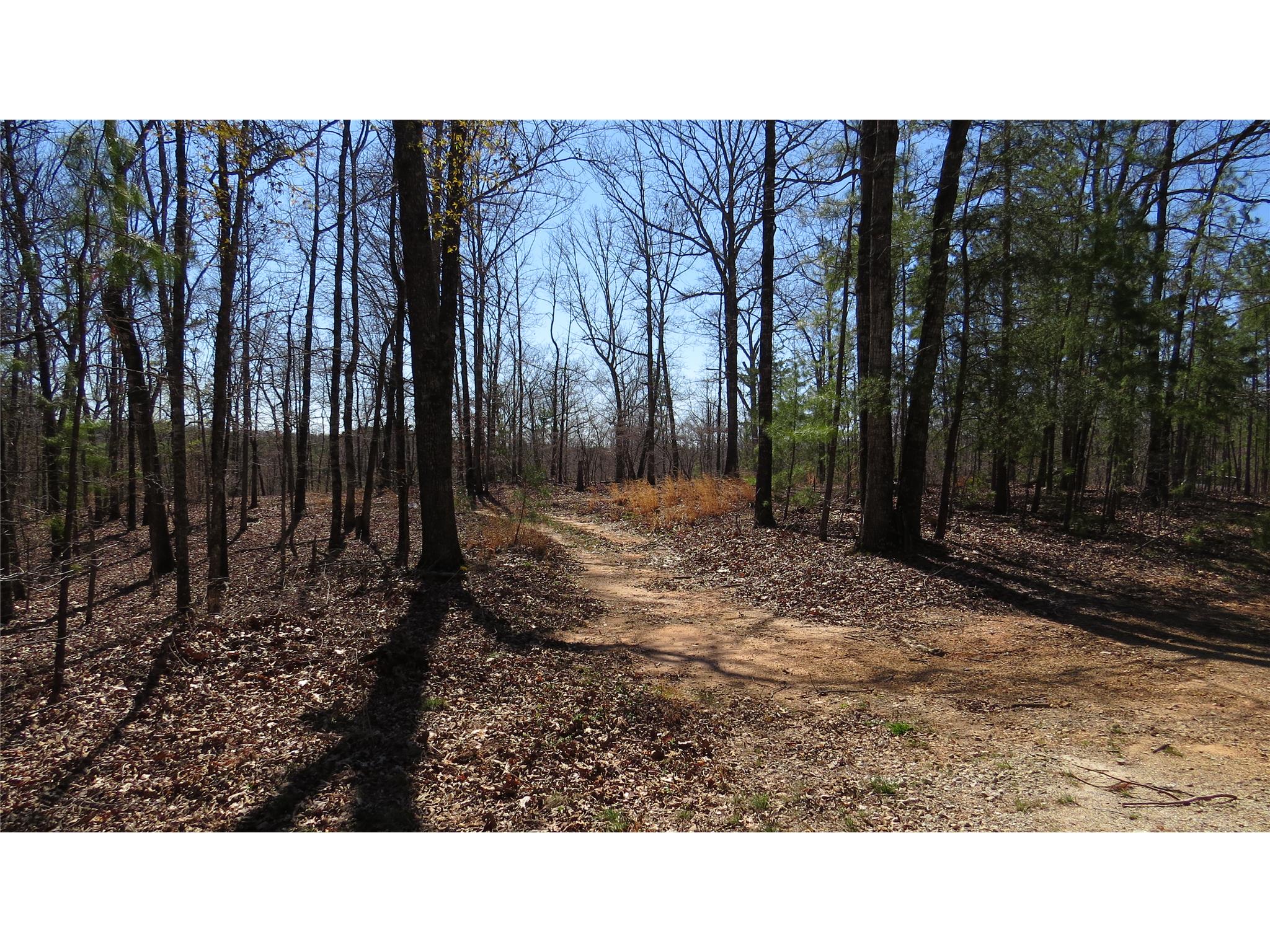 28 Currahee Ridge Rd, Toccoa, GA 30577 photo 4