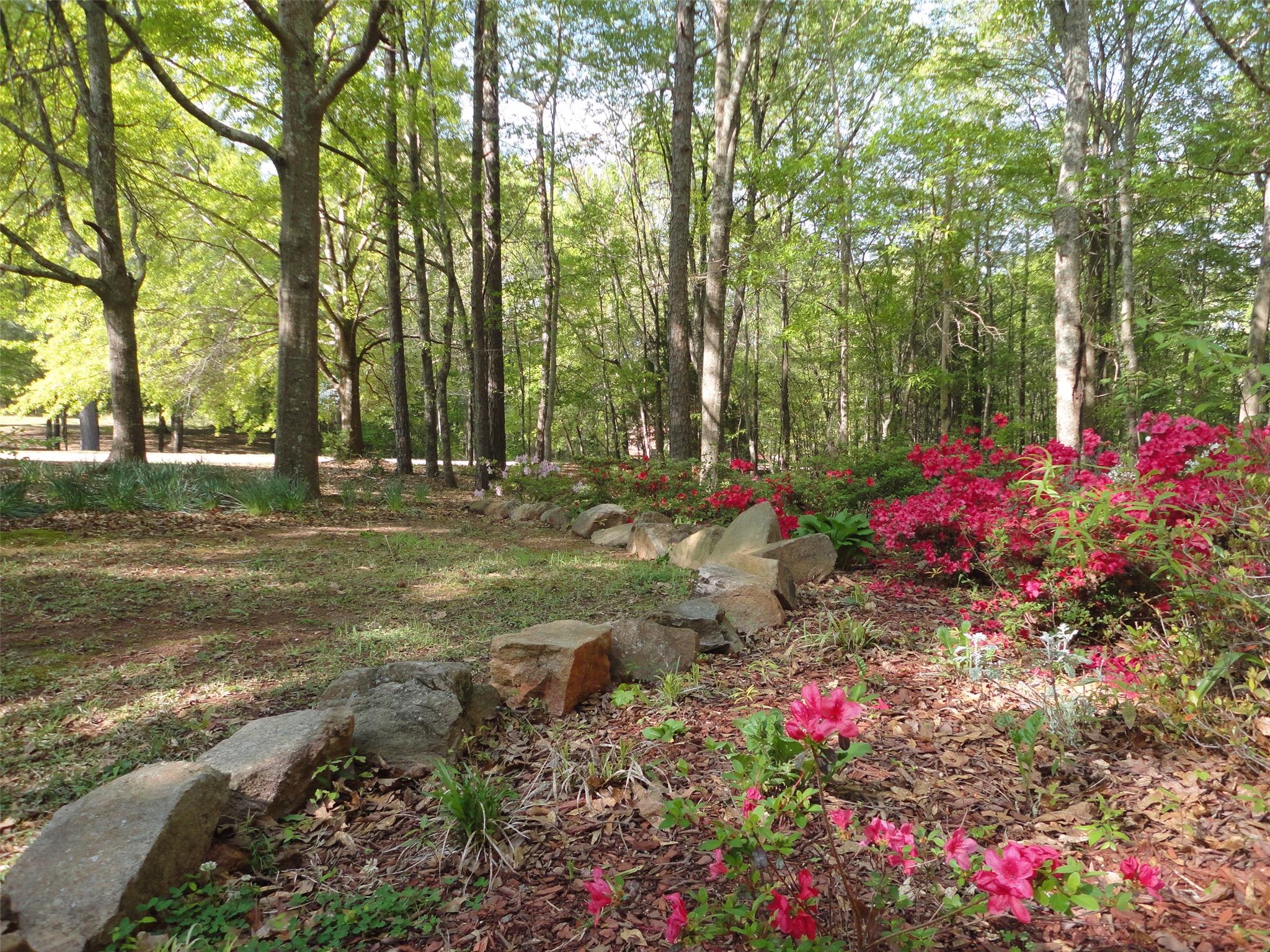 102 Smokey Cv, Lagrange, GA 30240 photo 24