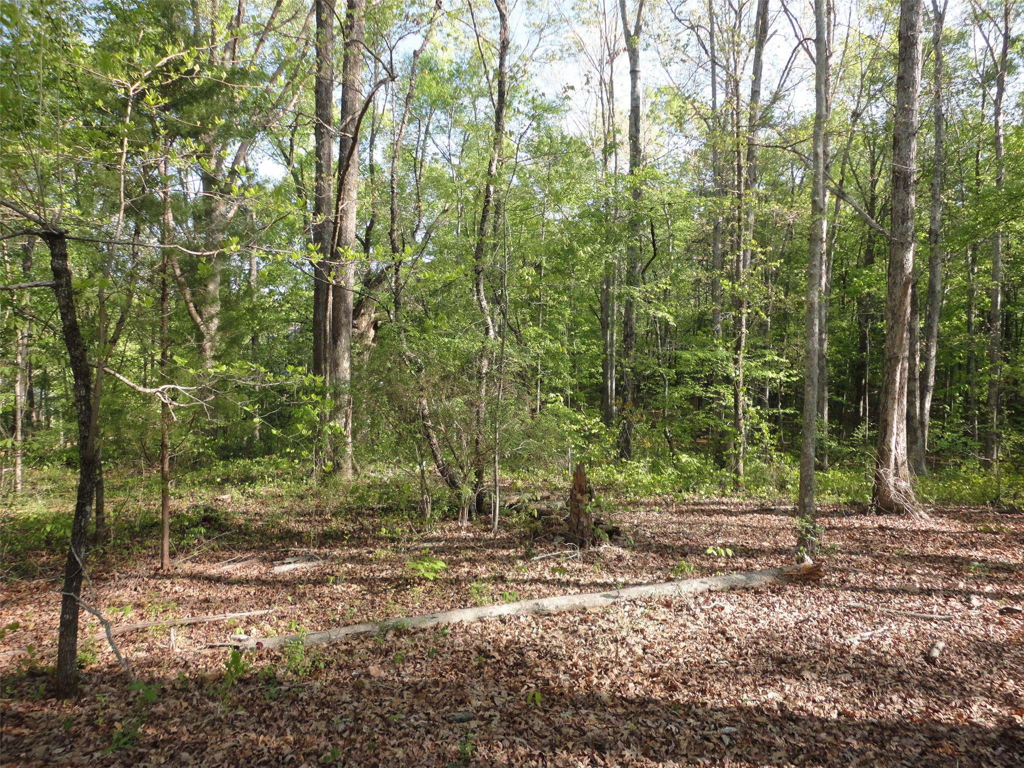 102 Smokey Cv, Lagrange, GA 30240 photo 4