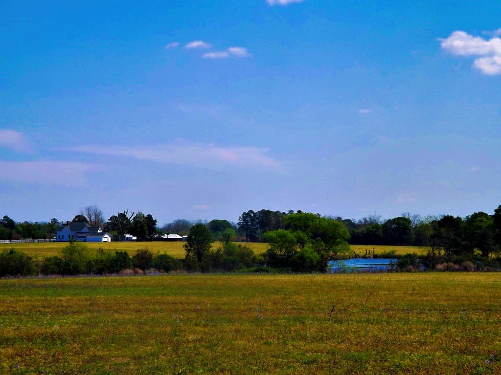 2870 Hwy 46, Register, GA 30452 photo 10