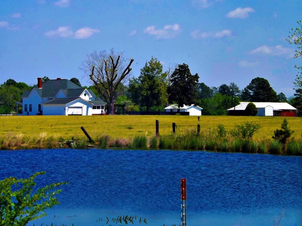 2870 Hwy 46, Register, GA 30452 photo 9