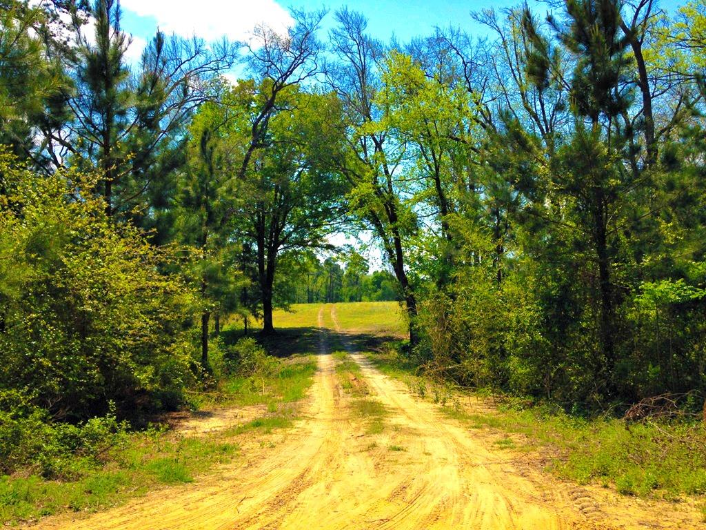 2870 Hwy 46, Register, GA 30452 photo 4