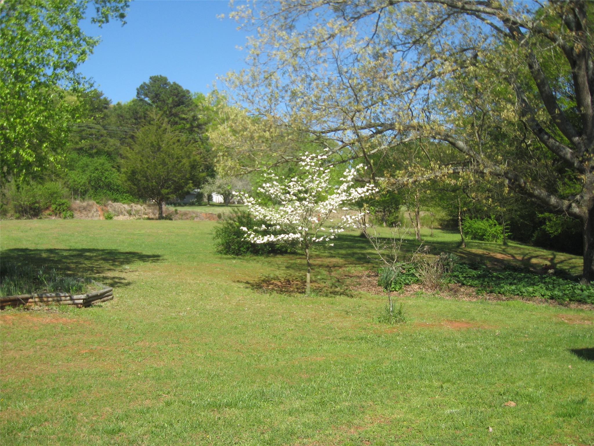 3971 Hwy 198, Carnesville, GA 30521 photo 5