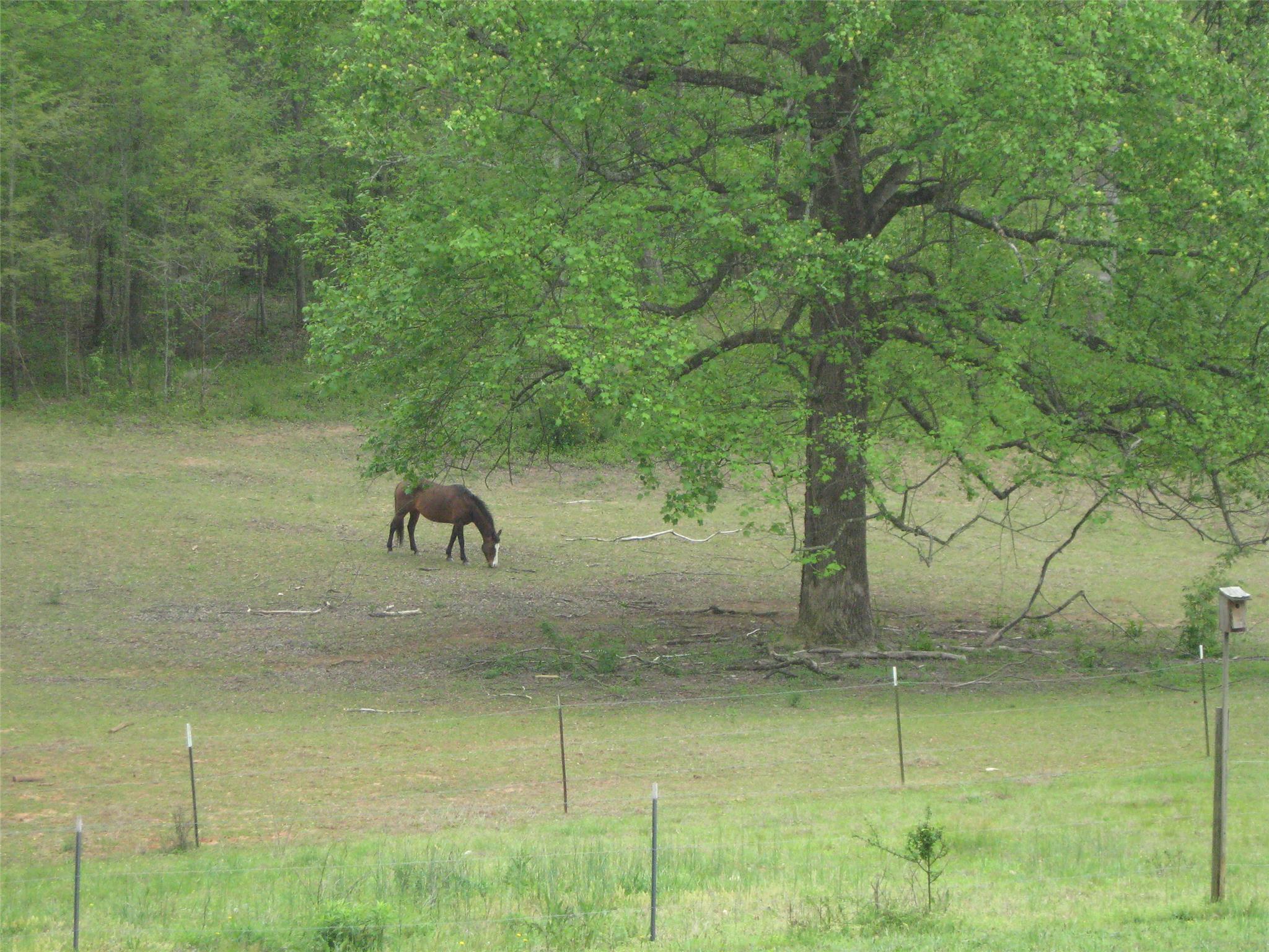 3971 Hwy 198, Carnesville, GA 30521 photo 20