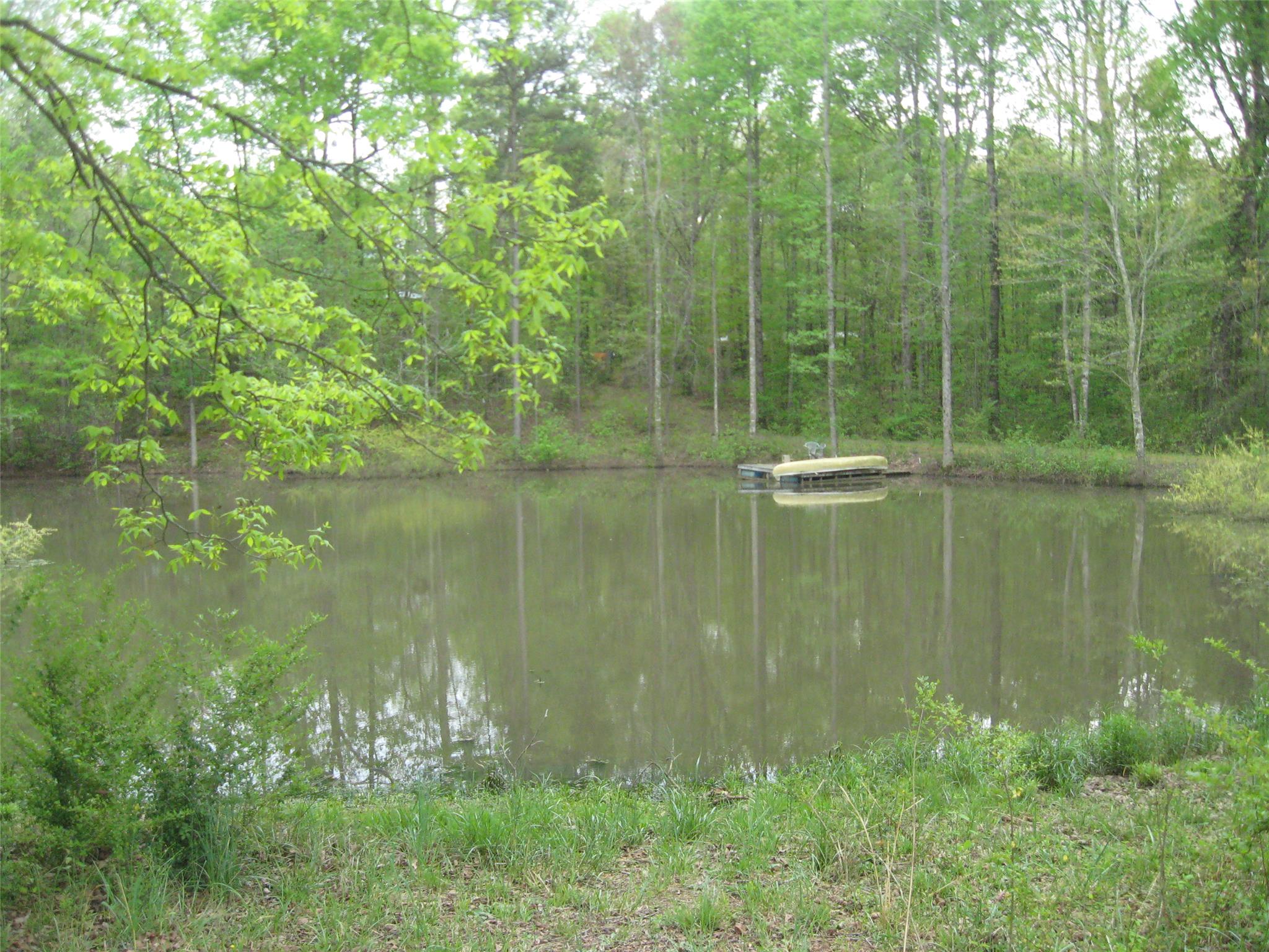 3971 Hwy 198, Carnesville, GA 30521 photo 21