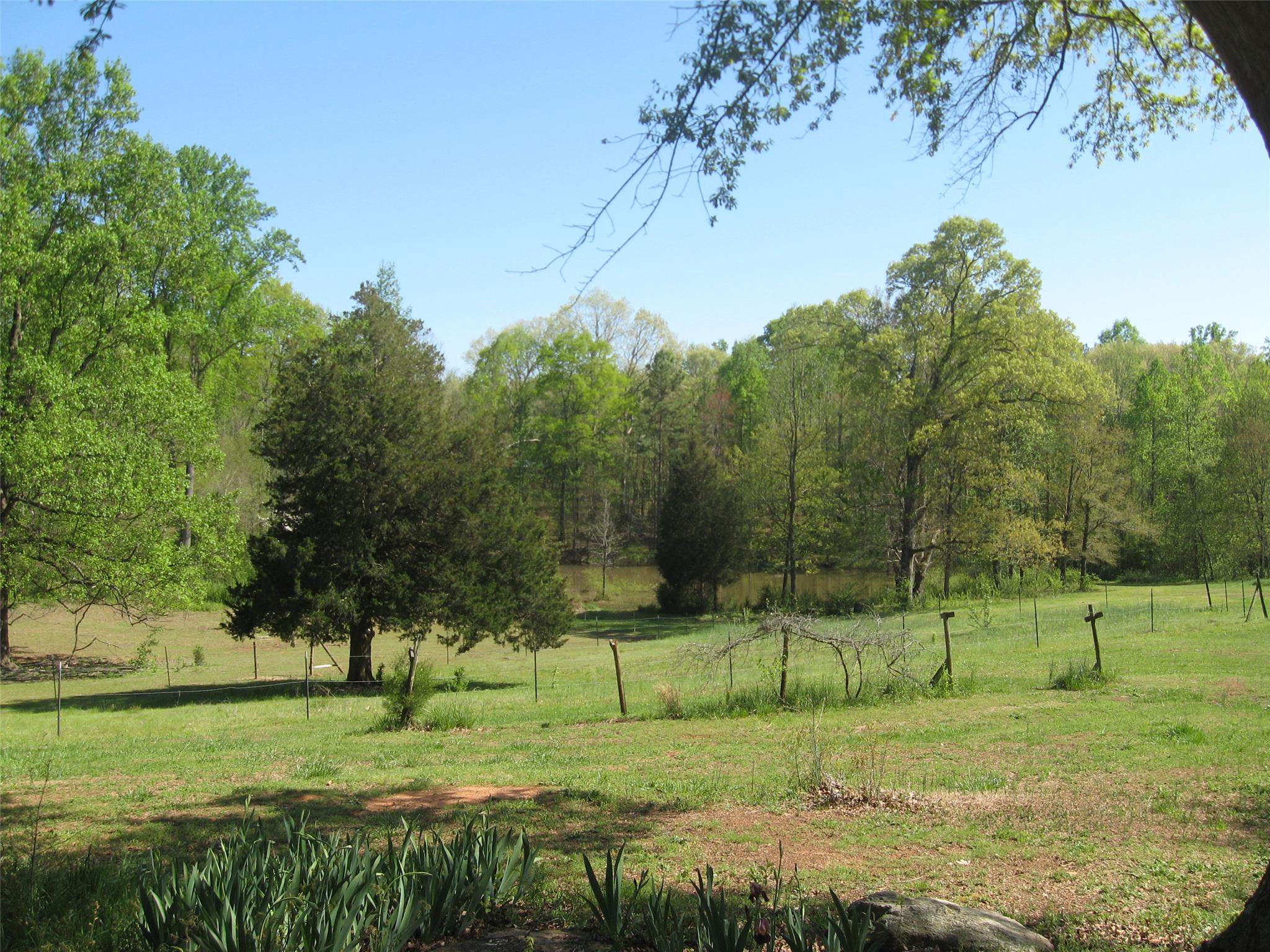 3971 Hwy 198, Carnesville, GA 30521 photo 19