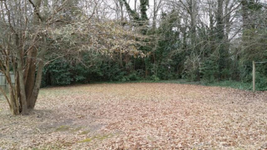 141 Walker St, Winder, GA 30680 photo 23