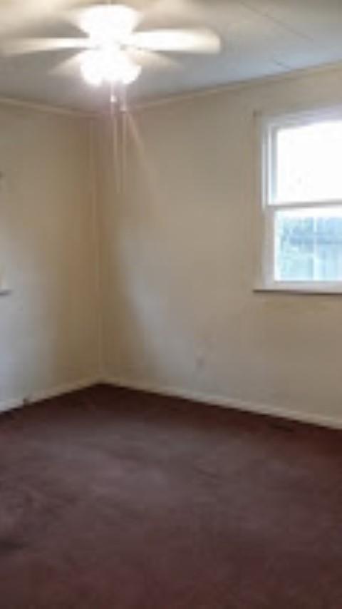 141 Walker St, Winder, GA 30680 photo 14