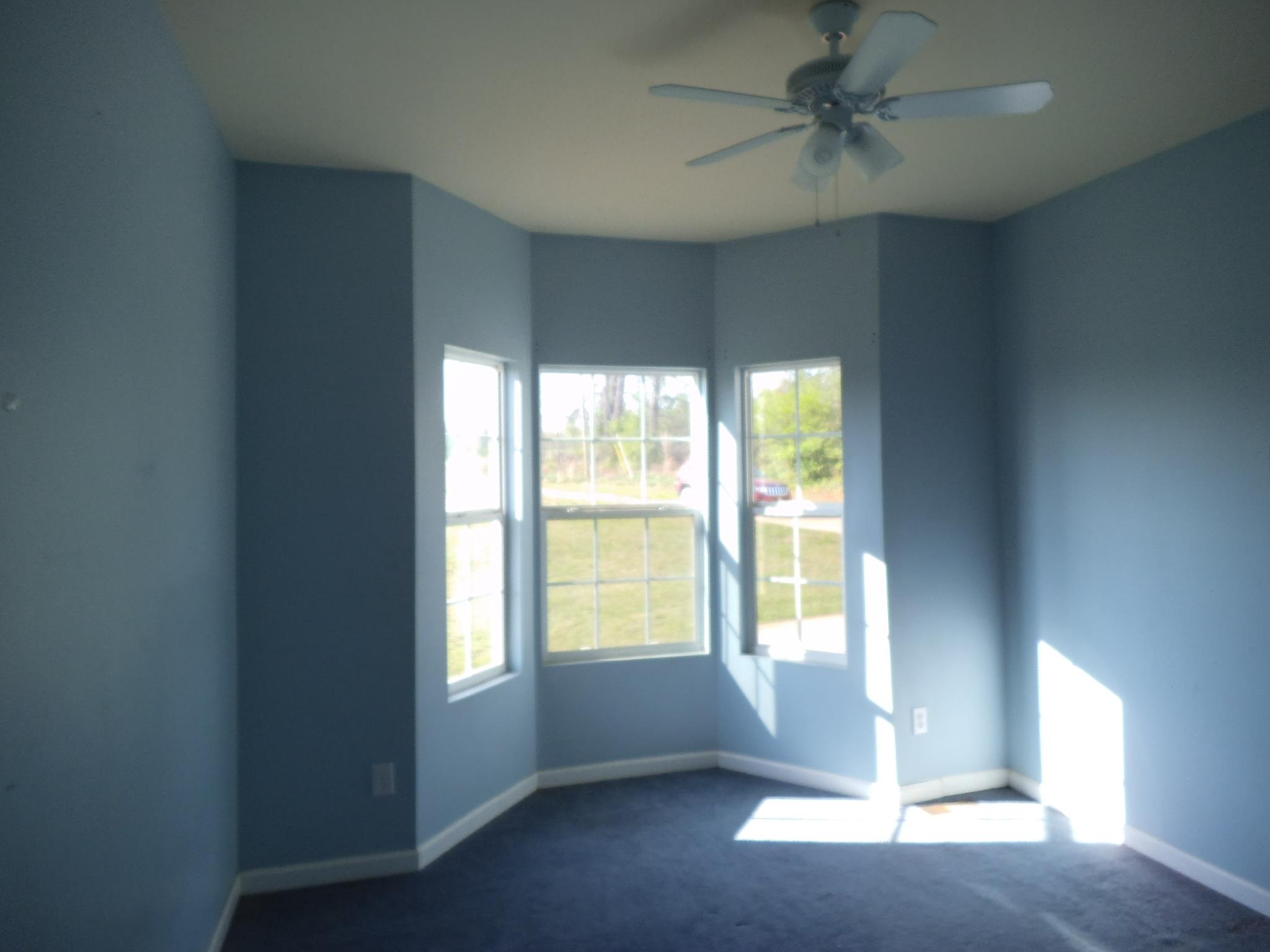 254 Ayers Rd, Mount Airy, GA 30563 photo 4