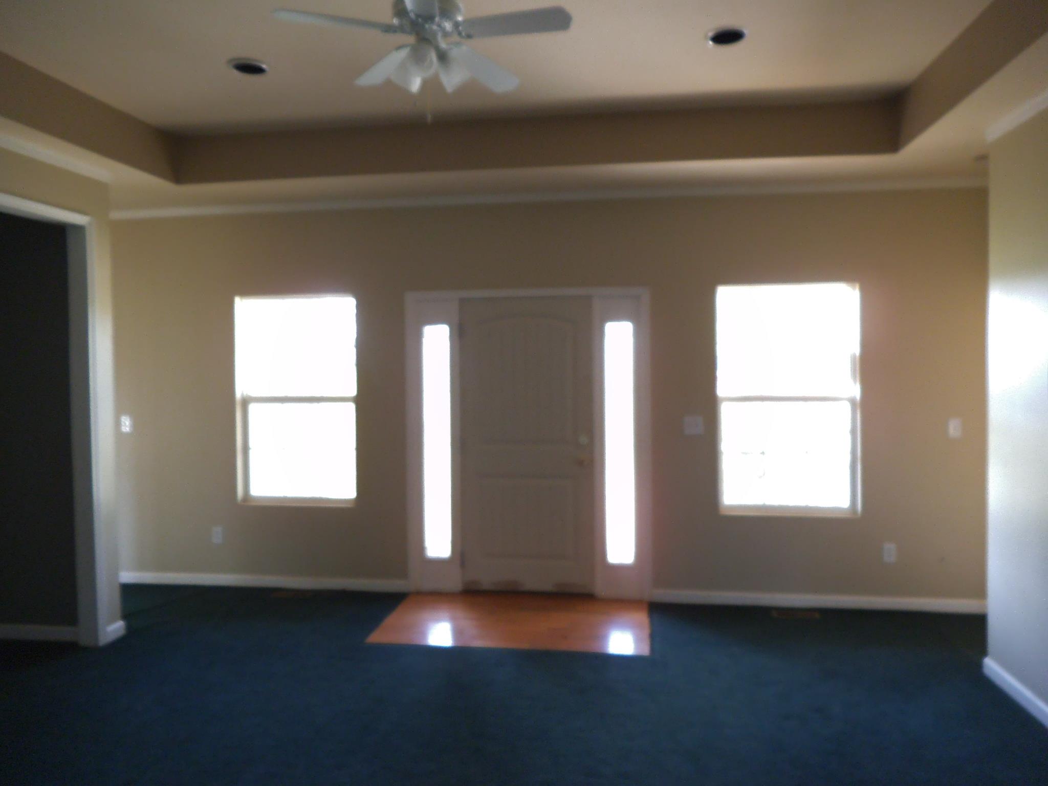 254 Ayers Rd, Mount Airy, GA 30563 photo 2