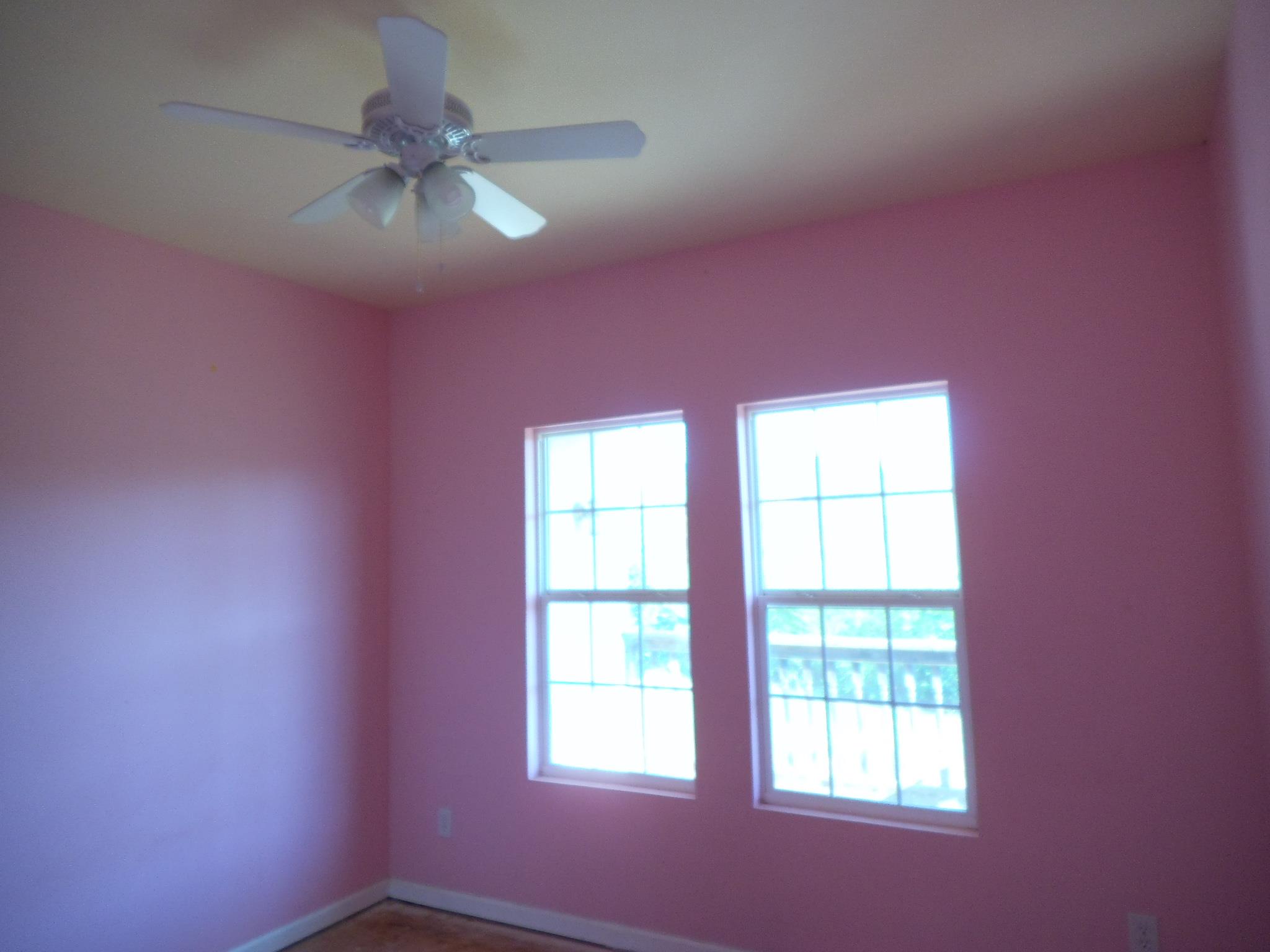 254 Ayers Rd, Mount Airy, GA 30563 photo 5