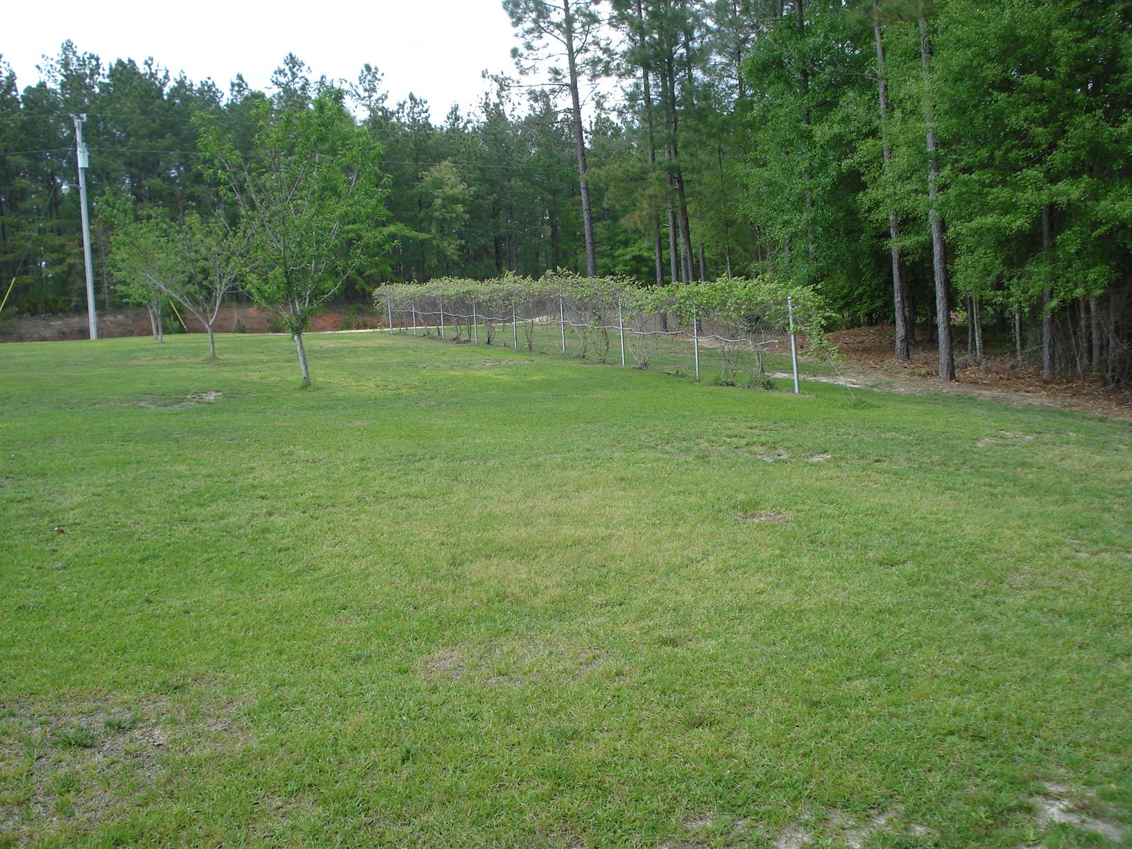 2800 Mosley Rd, Claxton, GA 30417 photo 10