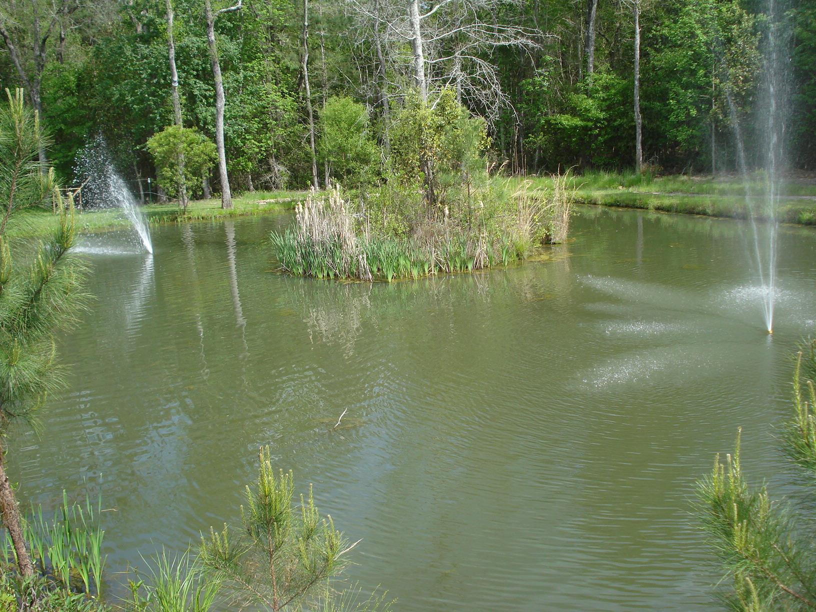 2800 Mosley Rd, Claxton, GA 30417 photo 9