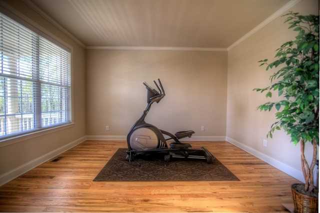 545 Shadow Hawk, Milton, GA 30004 photo 4