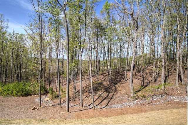 545 Shadow Hawk, Milton, GA 30004 photo 25