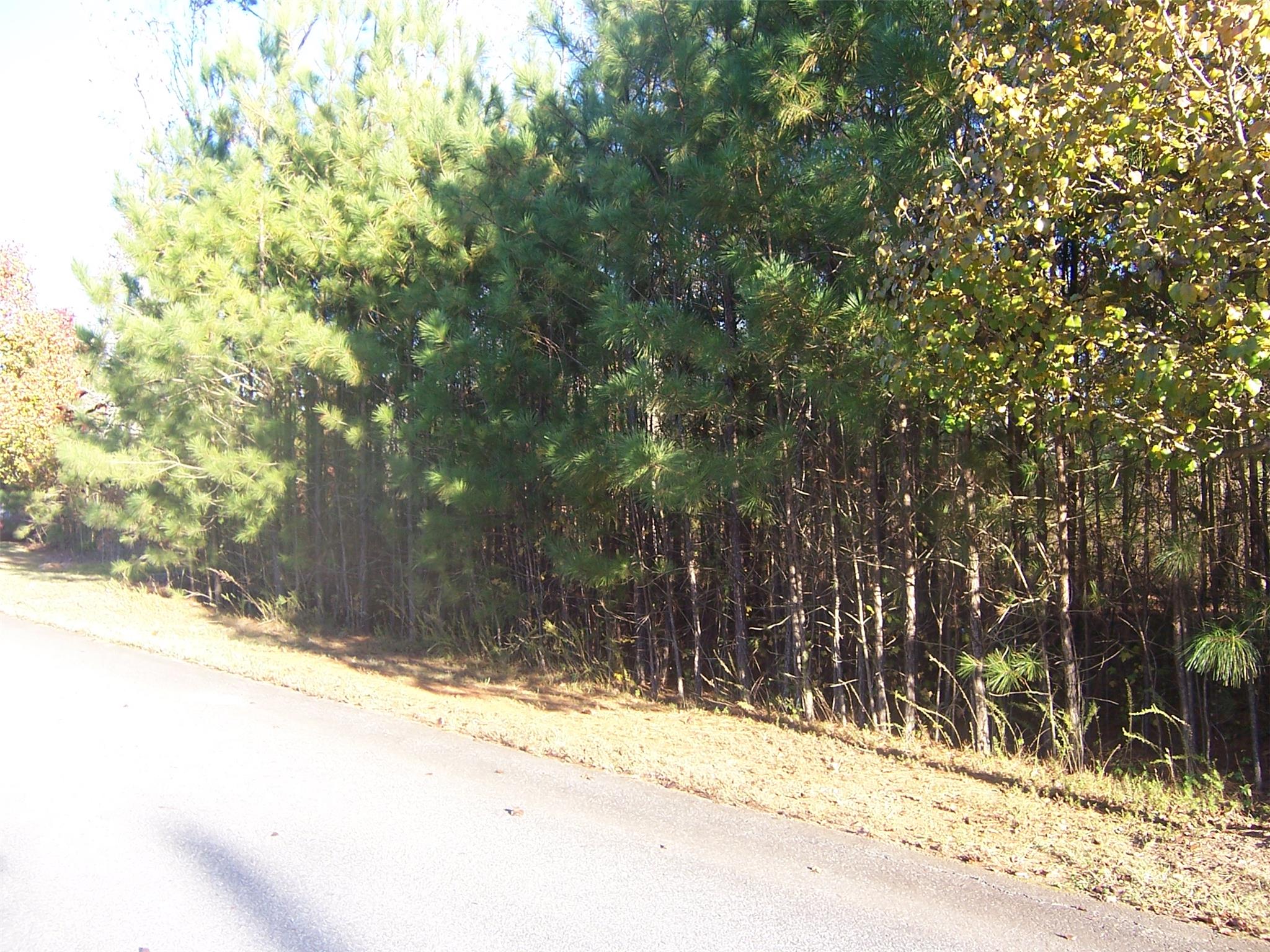 12 Estates Rdg, Acworth, GA 30102 photo 6