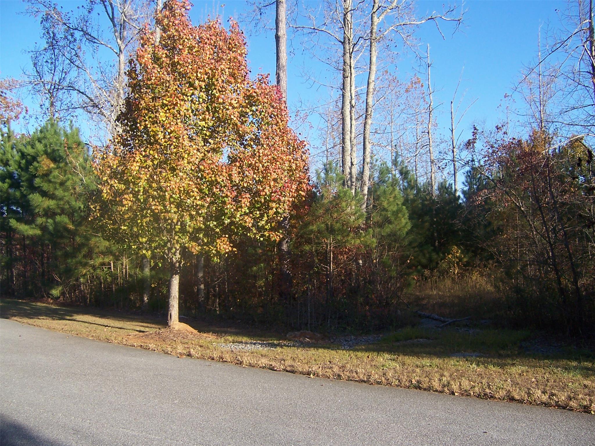 12 Estates Rdg, Acworth, GA 30102 photo 5