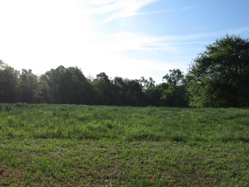 3030 Bowman Hwy, Bowman, GA 30624 photo 5