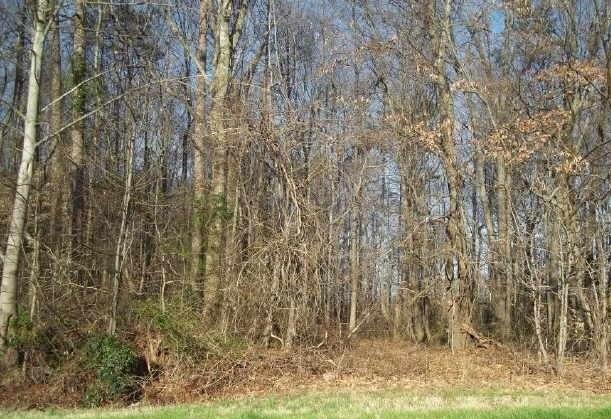 7638 County Line Rd, Lula, GA 30554 photo 3