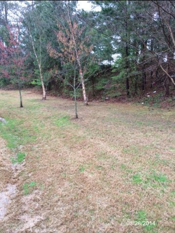 2708 Norfair Loop, Lithonia, GA 30038 photo 3