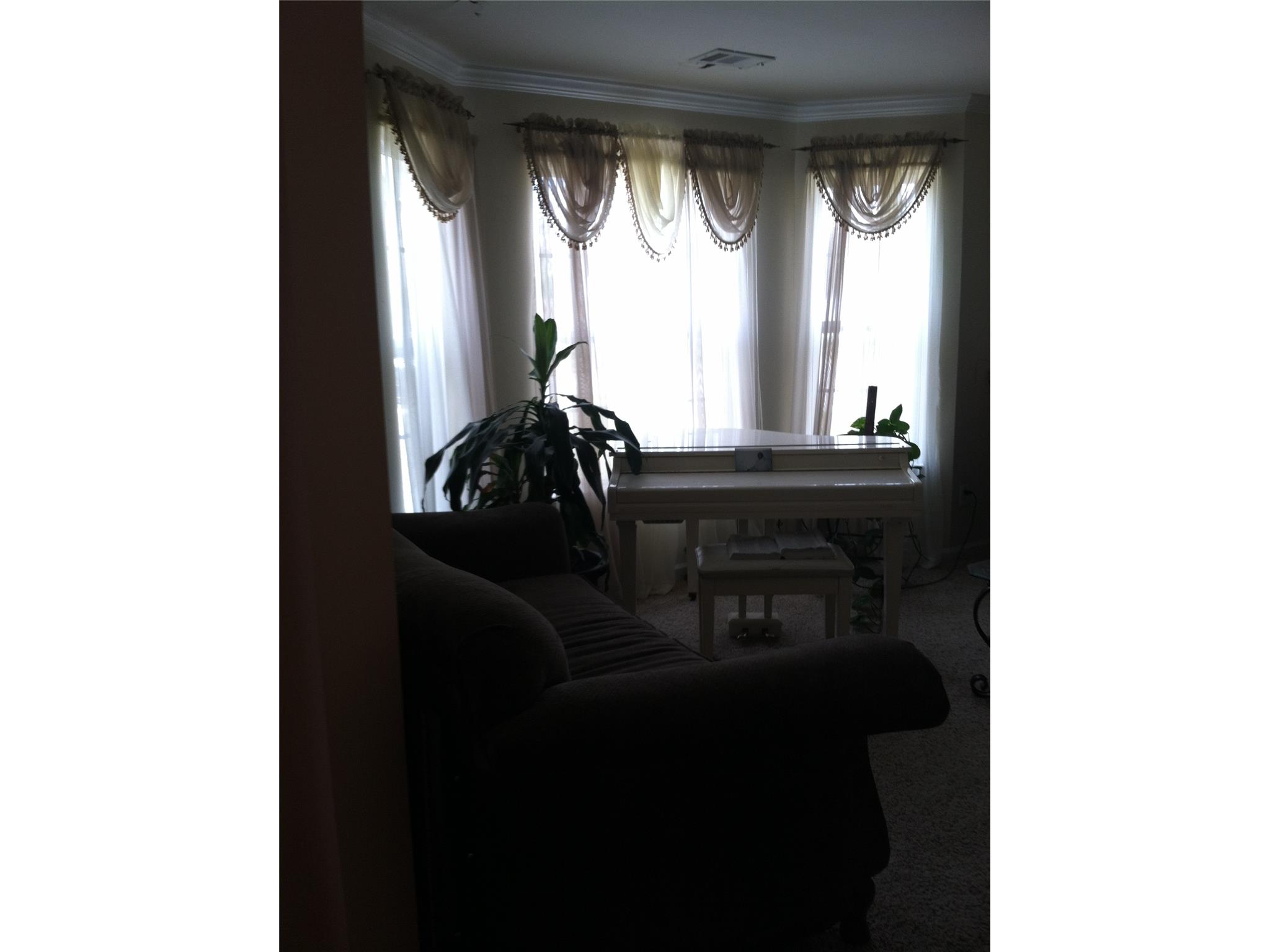 11655 Bruce Dr, Hampton, GA 30228 photo 5