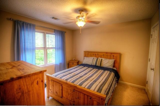 201 Eagle Valley Ct, Canton, GA 30114 photo 19