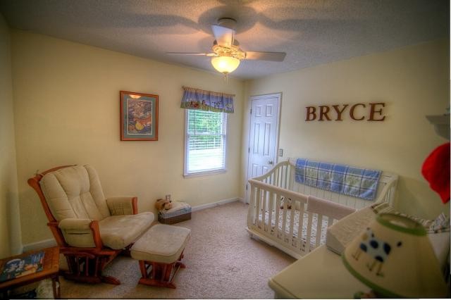 201 Eagle Valley Ct, Canton, GA 30114 photo 18