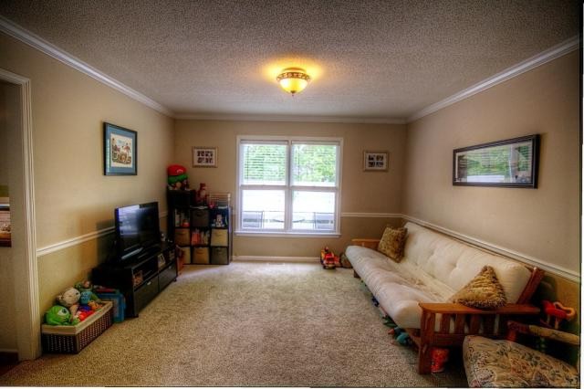201 Eagle Valley Ct, Canton, GA 30114 photo 12