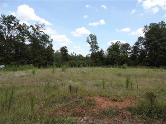 1740 Clack Rd, Madison, GA 30650 photo 7