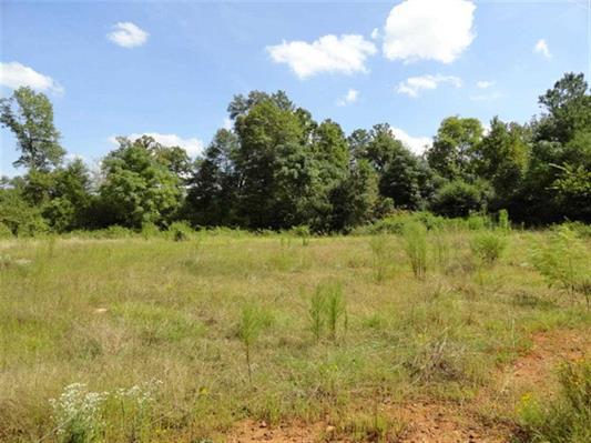 1740 Clack Rd, Madison, GA 30650 photo 1