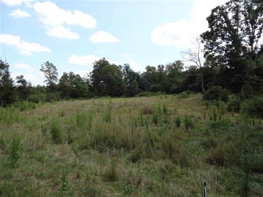 1740 Clack Rd, Madison, GA 30650 photo 8