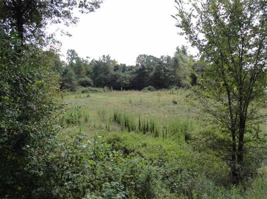 1740 Clack Rd, Madison, GA 30650 photo 2