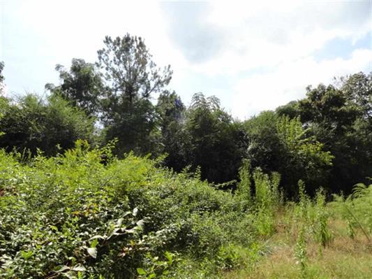 1740 Clack Rd, Madison, GA 30650 photo 6