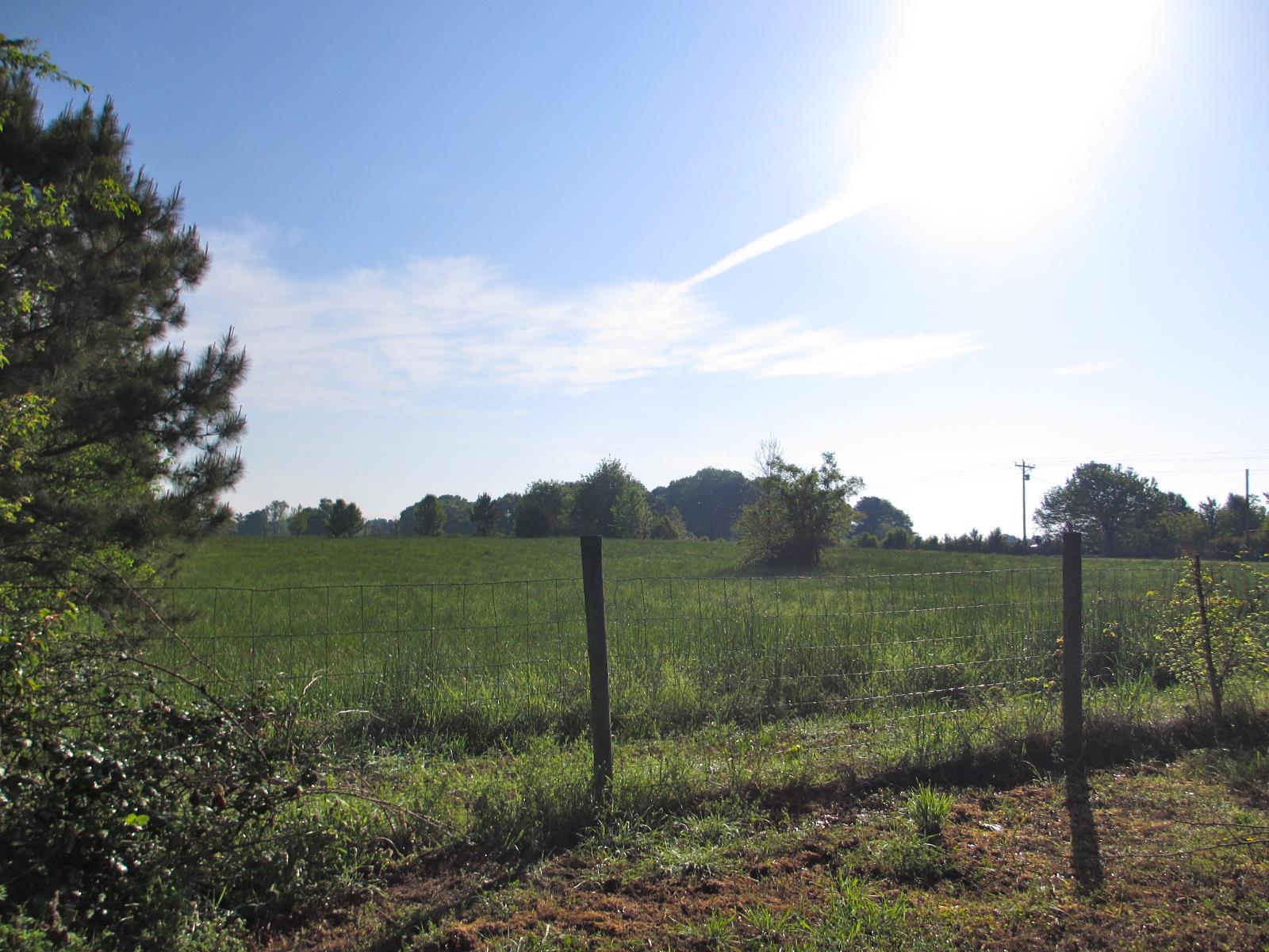 233 Mitchell Farm Rd, Colbert, GA 30628 photo 19