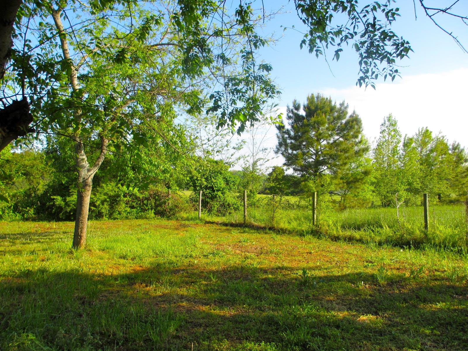 233 Mitchell Farm Rd, Colbert, GA 30628 photo 20