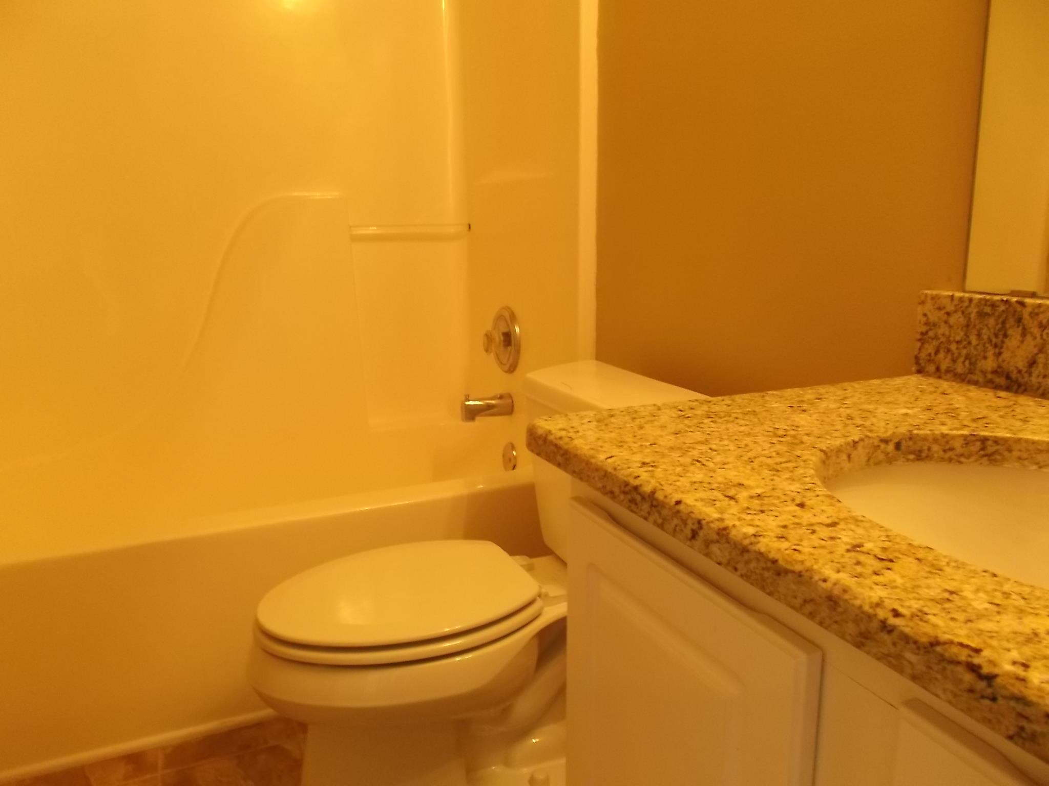 207 Crystal Ct, Hampton, GA 30228 photo 13