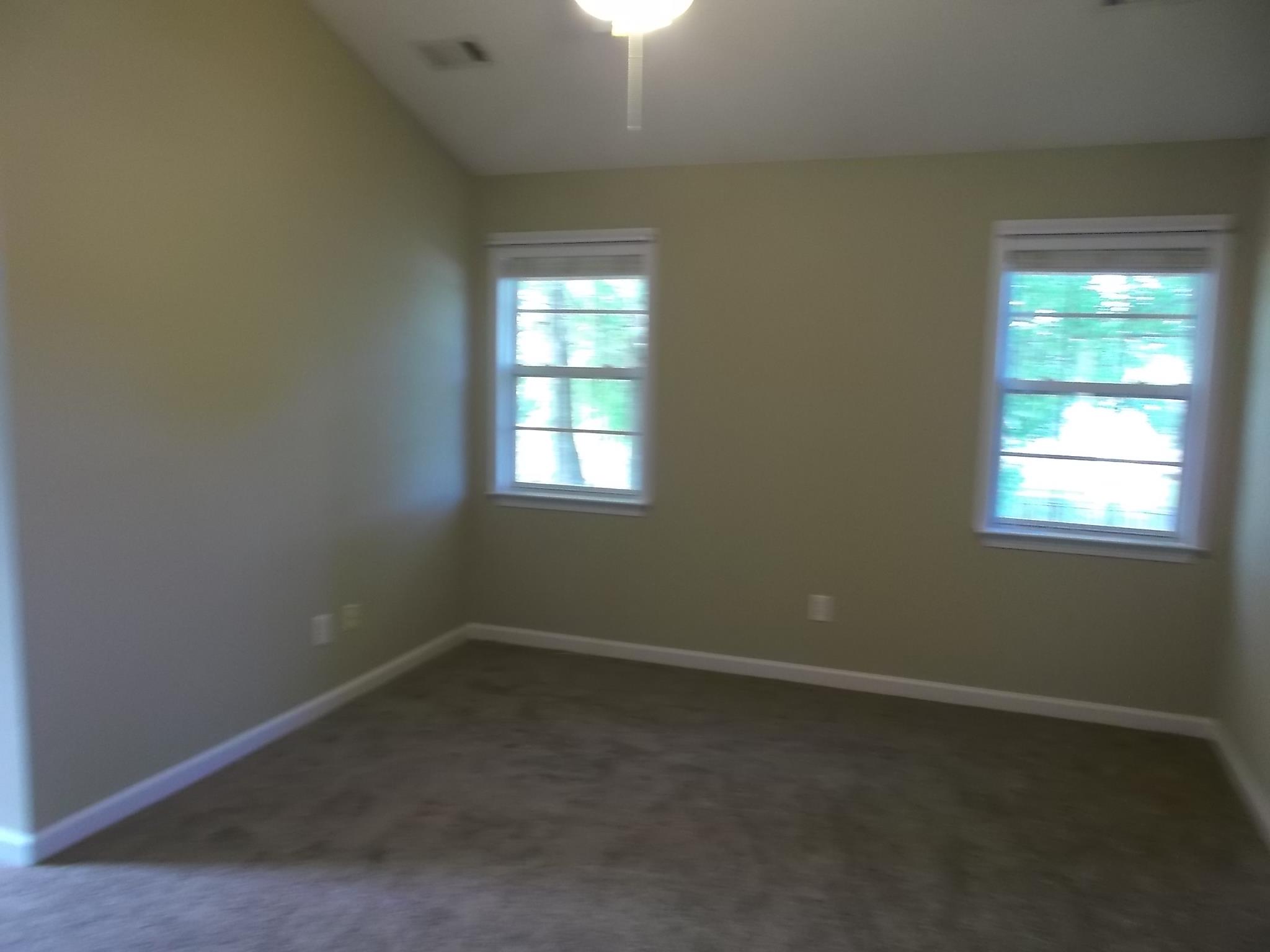 207 Crystal Ct, Hampton, GA 30228 photo 6