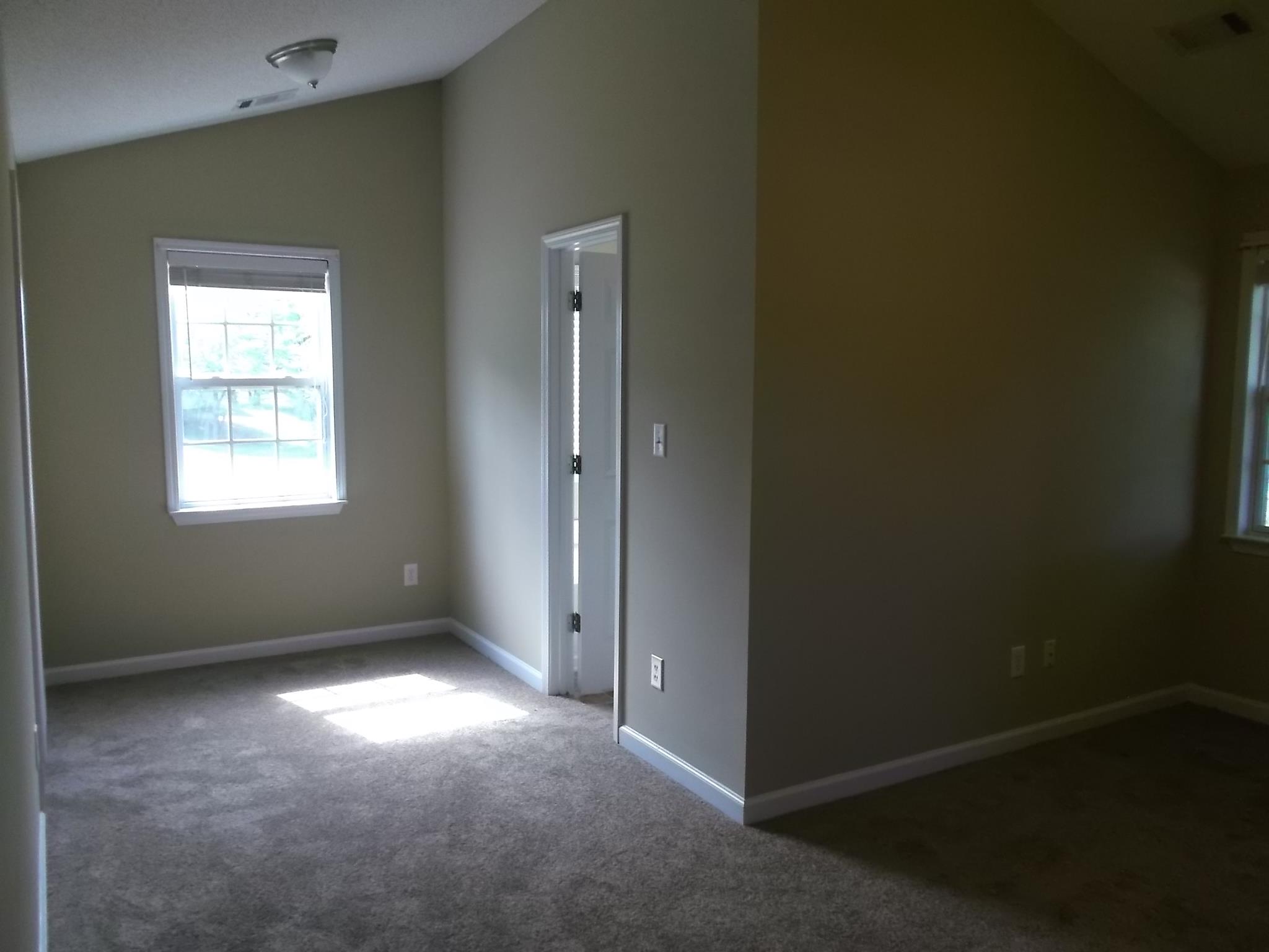 207 Crystal Ct, Hampton, GA 30228 photo 7
