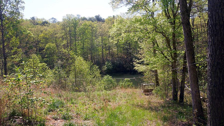 935 Fields Chapel Rd, Canton, GA 30114 photo 2