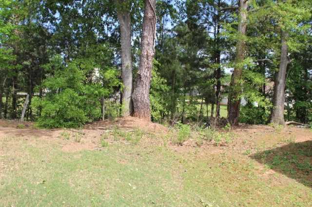 10988 Big Sky Dr, Hampton, GA 30228 photo 21