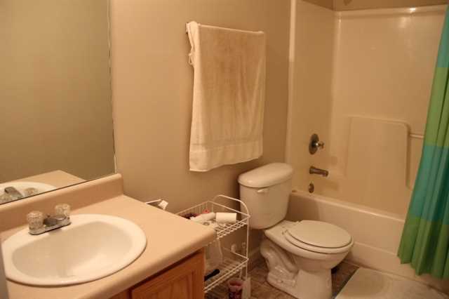 10988 Big Sky Dr, Hampton, GA 30228 photo 19