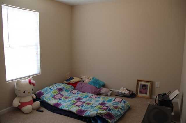 10988 Big Sky Dr, Hampton, GA 30228 photo 18