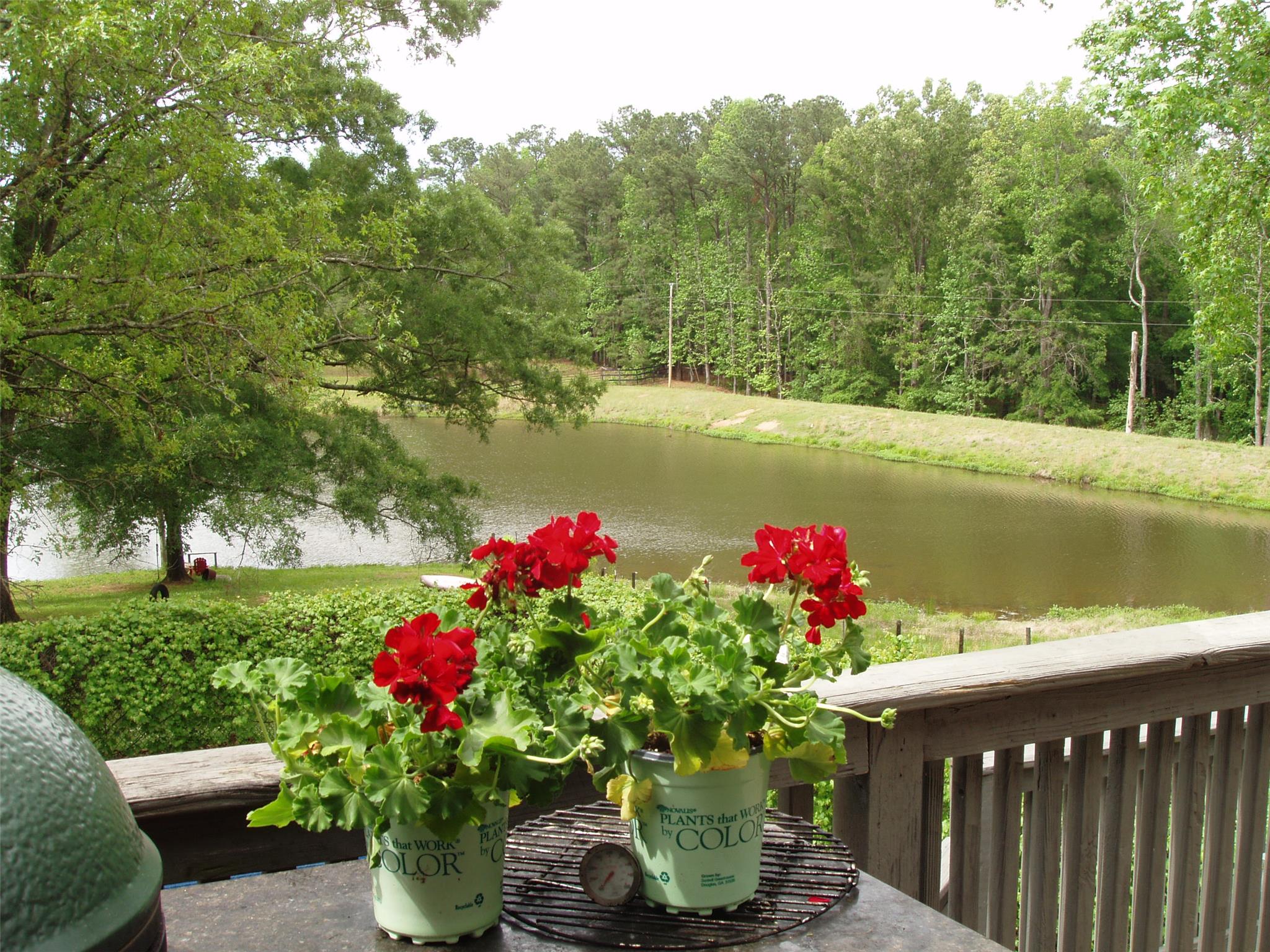 139 Carson Rd, Brooks, GA 30205 photo 5