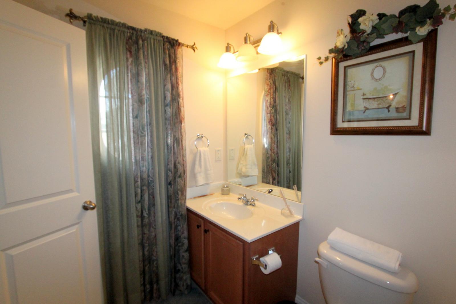 11234 Gates Ter, Duluth, GA 30097 photo 18